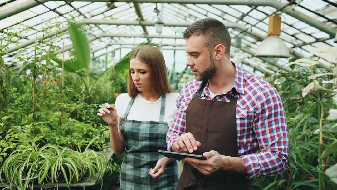 Automatización Empresas: Transforma Tus Procesos Con Tecnología